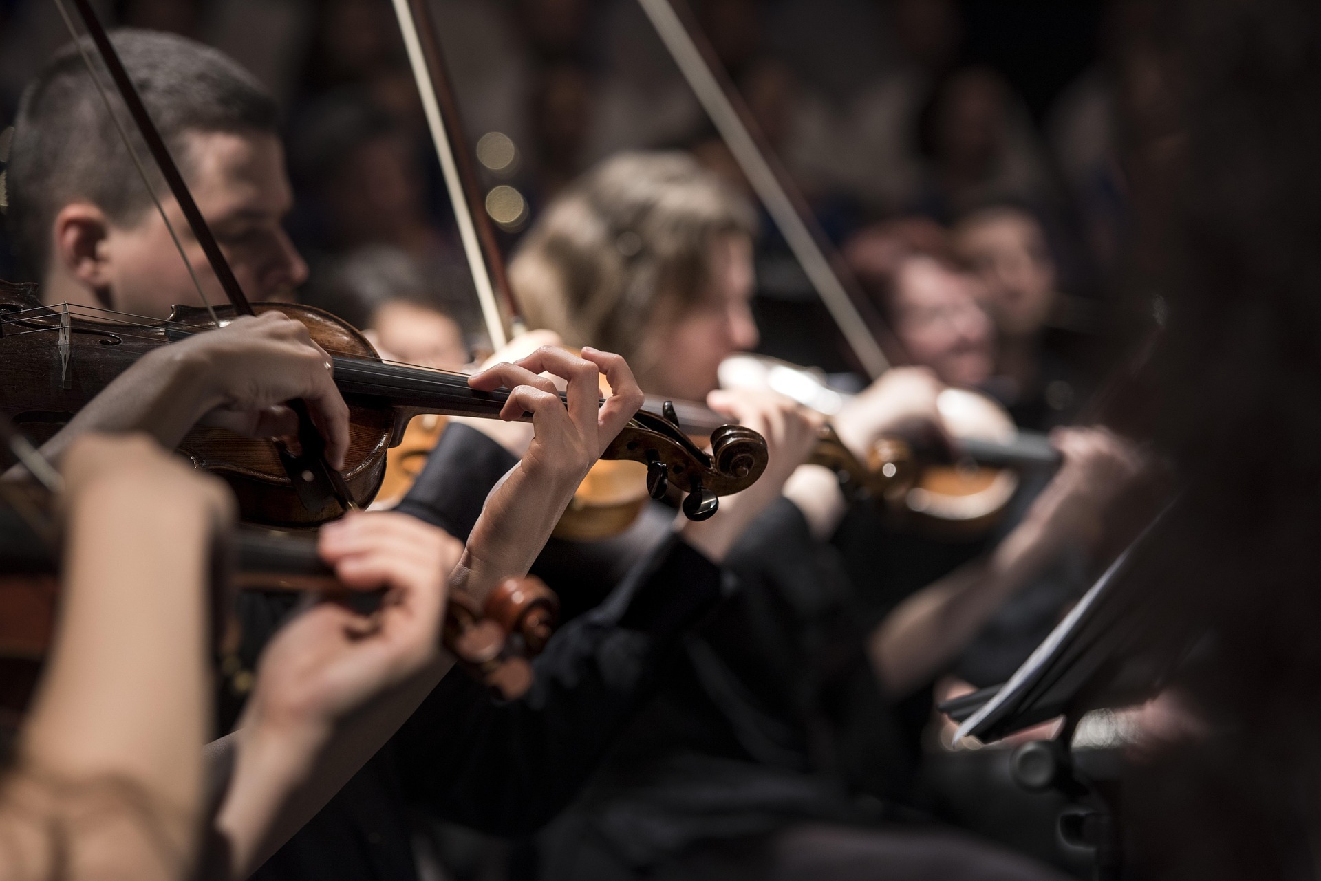Mehrere Geigenspieler nebeneinader spielen auf ihren Instrumenten
